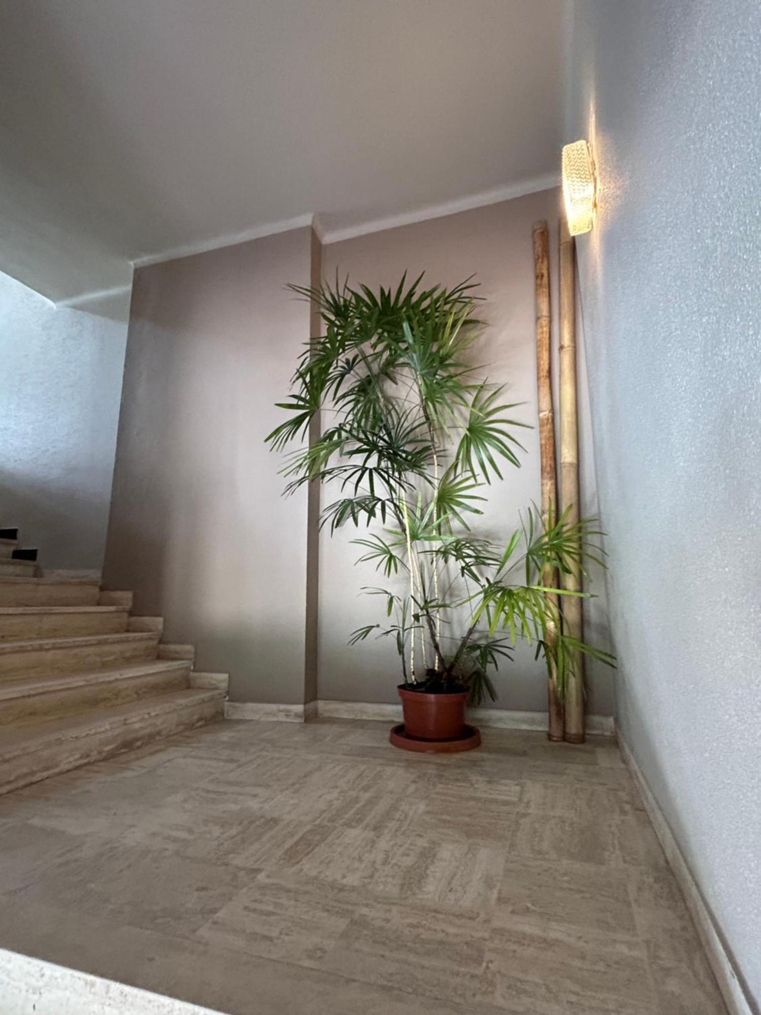 Premium Sea Front Apartment Le Lavandou Esterno foto